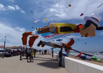 Large Kite Festival in France